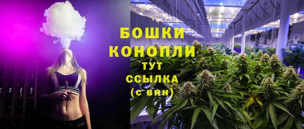 ПСИЛОЦИБИНОВЫЕ ГРИБЫ Алзамай