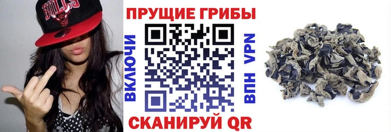 Псилоцибиновые грибы MAGIC MUSHROOMS Кольчугино